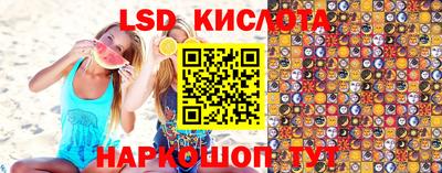 тгк Кингисепп