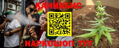 тгк Кингисепп