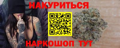 тгк Кингисепп