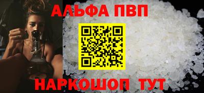 тгк Кингисепп