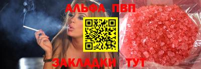тгк Кингисепп