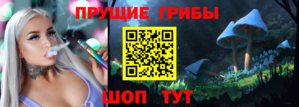 Псилоцибиновые грибы Cubensis Заводоуковск