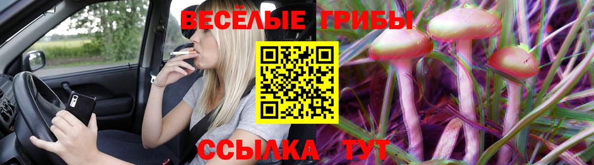 Галлюциногенные грибы Cubensis  Вход с VPN  Галлюциногенные грибы GOLDEN TEACHER  Заводоуковск 